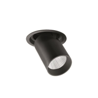 Brumberg                        88736183 