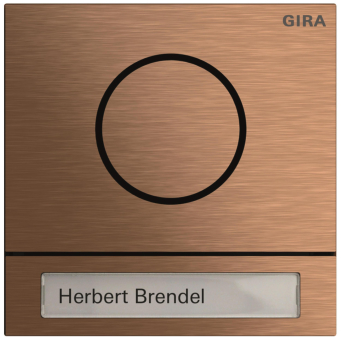 GIRA 5565921 Türstationsmodul System 106 