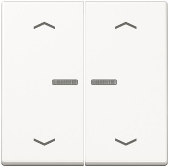 Jung Wippe f.Serientaster KO  A102KO5PWW 