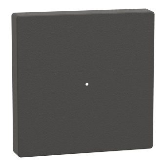 Schneider Wippe f.Tastermodul  MTN625114 