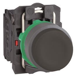 Schneider Drucktaster, kompl,  XB5AP21C0 