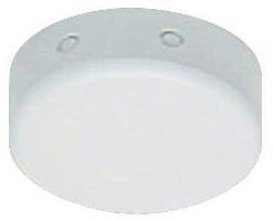 RIDI Deckenauslassdose weiß DAD      DAD 