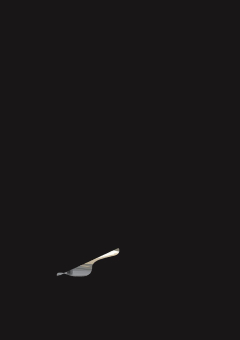 Helestra MORIS-XL             17/2166.93 