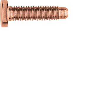 ELCOM Schraube Spezial ZY M5x25  REH128Y 
