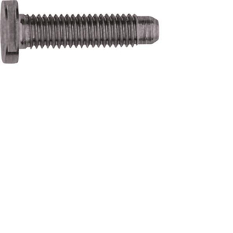 ELCOM Schraube Spezial ZY M5x25  REH124Y 