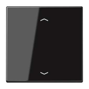 JG Wippe für Taster BA 1-    LS 990 P SW 