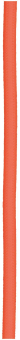 BAIL Textile Cable 2C Orange 3m   139680 