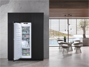 Miele FNS 7774 D EB-Gefrierschrank 