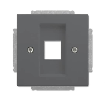 BJ Zentralscheibe anth future    2561-81 