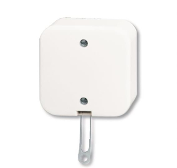 BJ Zugschalter m.Zugschnur    2610/6 APW 