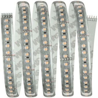 Paulmann Function MaxLED1000 Basis 70672 