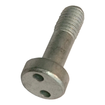 BAIL Screw M5 316 Pig nose socket 145590 