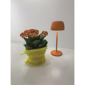 Brumberg LED-Akkutischleuchte 65401003OR 