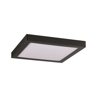 Paulmann WallCeiling Abia          70985 