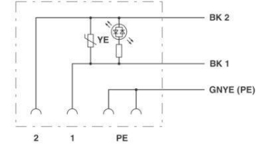 Phoenix 1443242   SAC-3P- 5,0-PUR/C-1L-V 