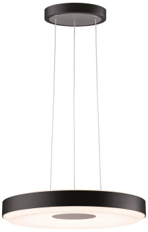 Paulmann Puric Pane Pendelleuchte  79517 