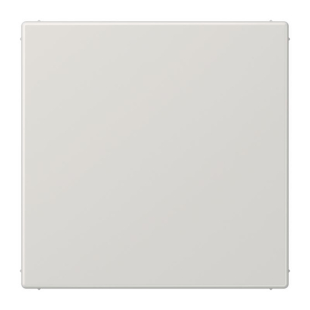 Jung USV-Modul lichtgrau  NRSLS0834USVLG 