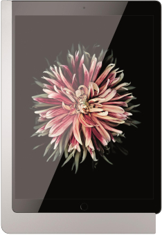 viveroo 510160LAN iPad Wandhalterung 