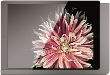 viveroo 510151 iPad Wandhalterung 11z 