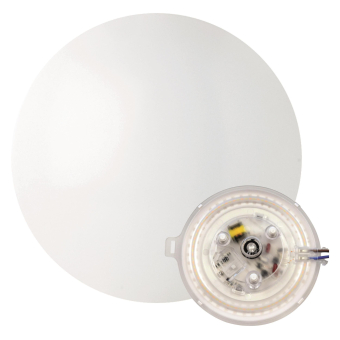 MEGAM Wand-/Deckenleuchte RENZO XChange 