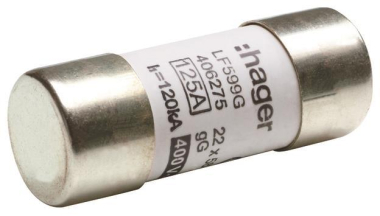 Hager Sicherungseinsatz 22x58mm   LF599G 