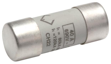 Hager Sicherungseinsatz 22x58mm   LF540G 