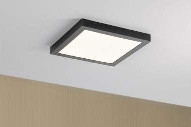 Paulmann WallCeiling Abia          70985 