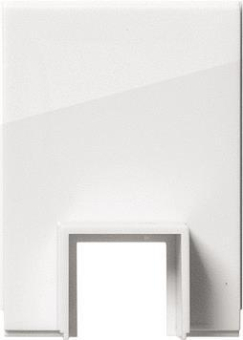 GIRA 106903 Adapter Leitungseinf. Kanal 