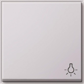GIRA 028566 Wippe Symbol Licht TX_44 