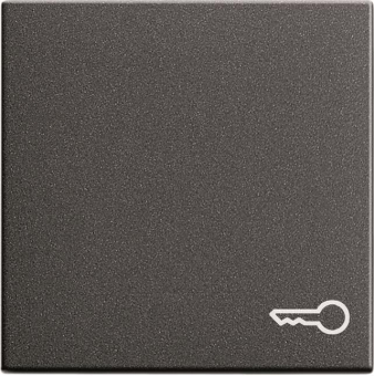 GIRA 028728 Wippe Symbol Tür System 55 