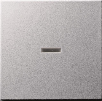 GIRA 091426 Wippe Tast-Kontroll 