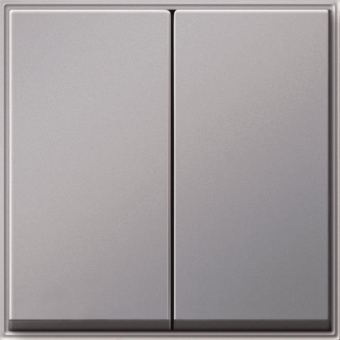 GIRA 029565 Wippe 2fach TX_44 WG UP 