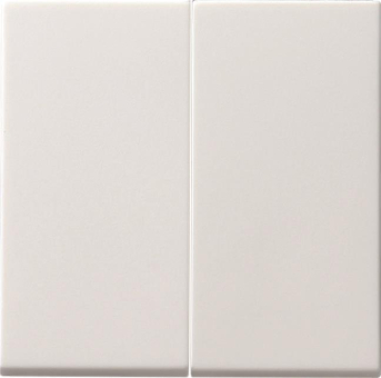 GIRA 091527 Wippe 2fach Tastschalter 