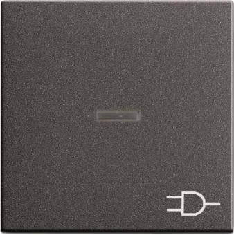 GIRA 020928 Wippe Kontrollfenster+Symbol 