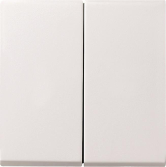 GIRA 029503 Wippe 2fach System 55 