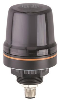 IFM 1-Segment-                    DV2121 