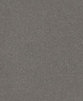 Bosch Schleifblatt C355       2608608H63 