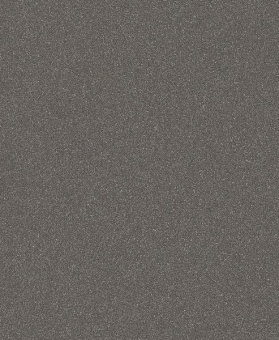 Bosch Schleifblatt C355       2608608H62 