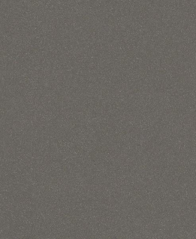 Bosch Schleifblatt C355       2608608H65 