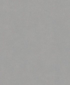 Bosch Schleifblatt C355       2608608H66 