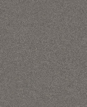 Bosch Schleifblatt C355       2608608H61 