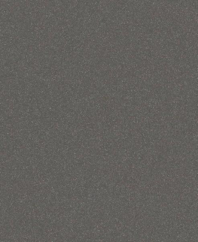 Bosch Schleifblatt C355       2608608H64 