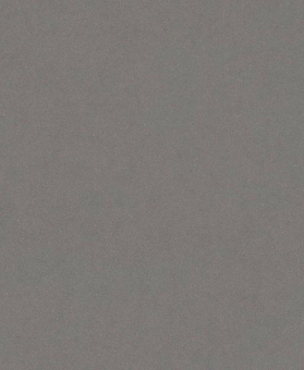 Bosch Schleifblatt C355       2608608H68 