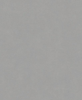 Bosch Schleifblatt C355       2608608H69 