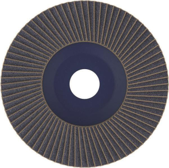 Bosch Fächerschleifscheibe    2608607338 