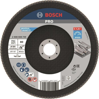 Bosch Fächerschleifscheibe    2608606739 