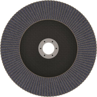 Bosch Fächerschleifscheibe    2608606738 