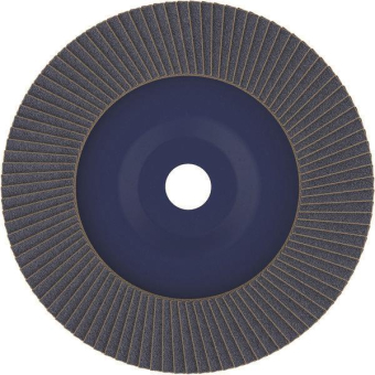 Bosch Fächerschleifscheibe    2608607342 
