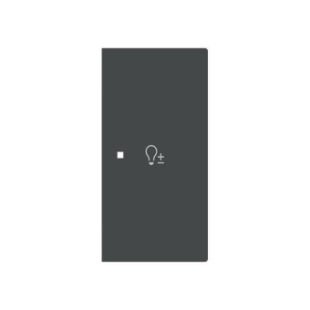 BJ Wippe 2-fach rechts       6234-22-45M 