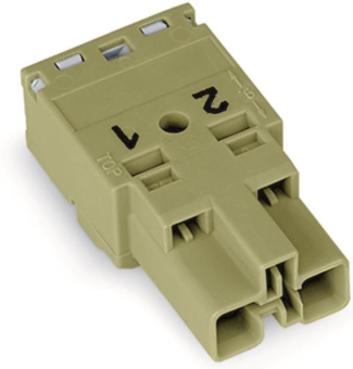 WAGO 770-272 Stecker,2-polig,hellgrün 